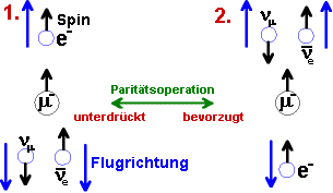 Zerfall polarisierter Monen